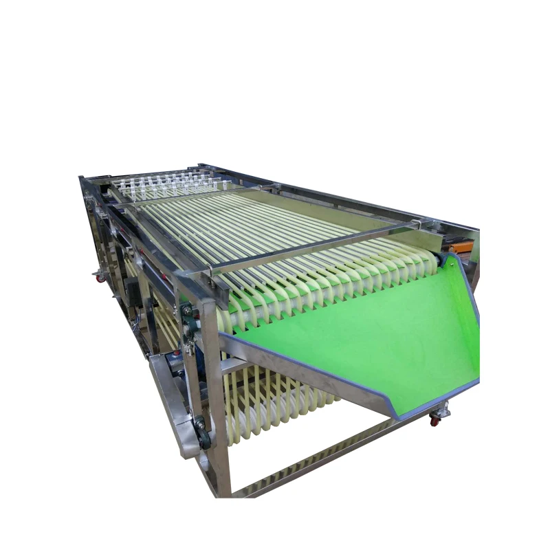 High Quality Fruit Calibrator with Gear Engine Motor Bearing Core Components