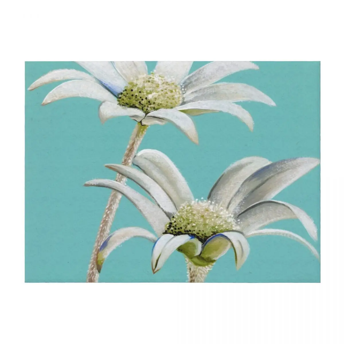

Fancy Flannel Flowers Throw Blanket Soft Beds Fashion Sofas Weighted Blankets For Bed Blankets