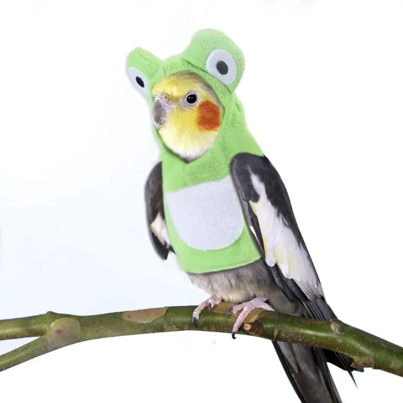 Plush BirdsWinter Warm Hat Hooded Clothes Funny Frog Shaped Flying Suit Parrots Costume Cosplay Outfit  Pet Bird Accessories