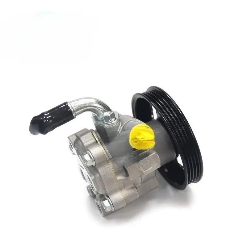 Car Power Steering Pump 49110-3XN0D/-XN0C/3XN0A/3XN0B for Nissan NV350 Caravan