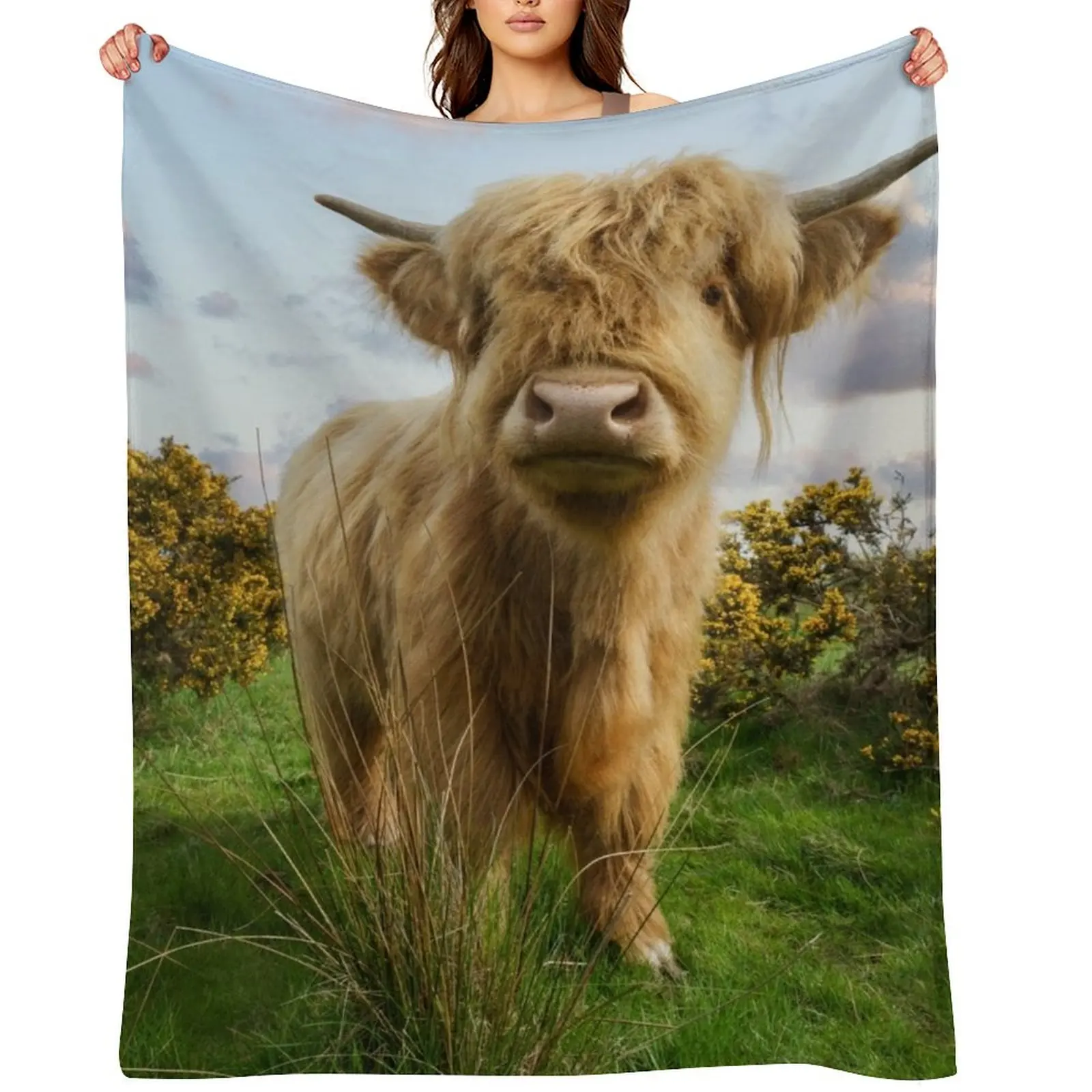 

Young Highland Cow Throw Blanket Baby Summer Beddings Flannels Furrys Blankets