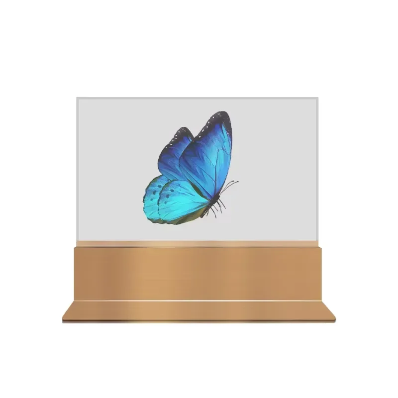 OLED Transparent 55