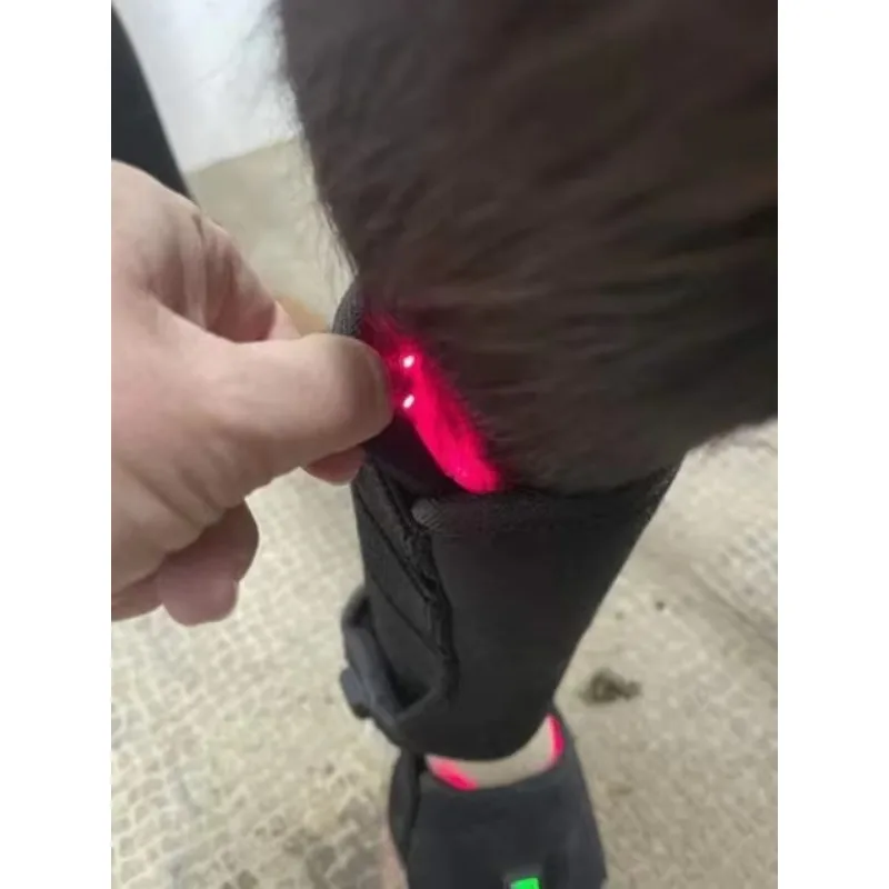 Pulsed 660nm 850nm Red Infrared Therapy Belt Horse Leg Body Healing Massage Pad