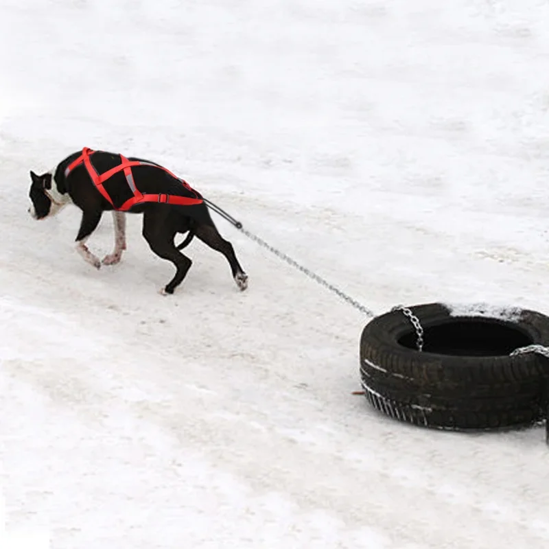 Dog Sled Harness Pet Weight Pulling Sledding Harness  X Back Harness For Large Dogs Husky Canicross Skijoring Scootering