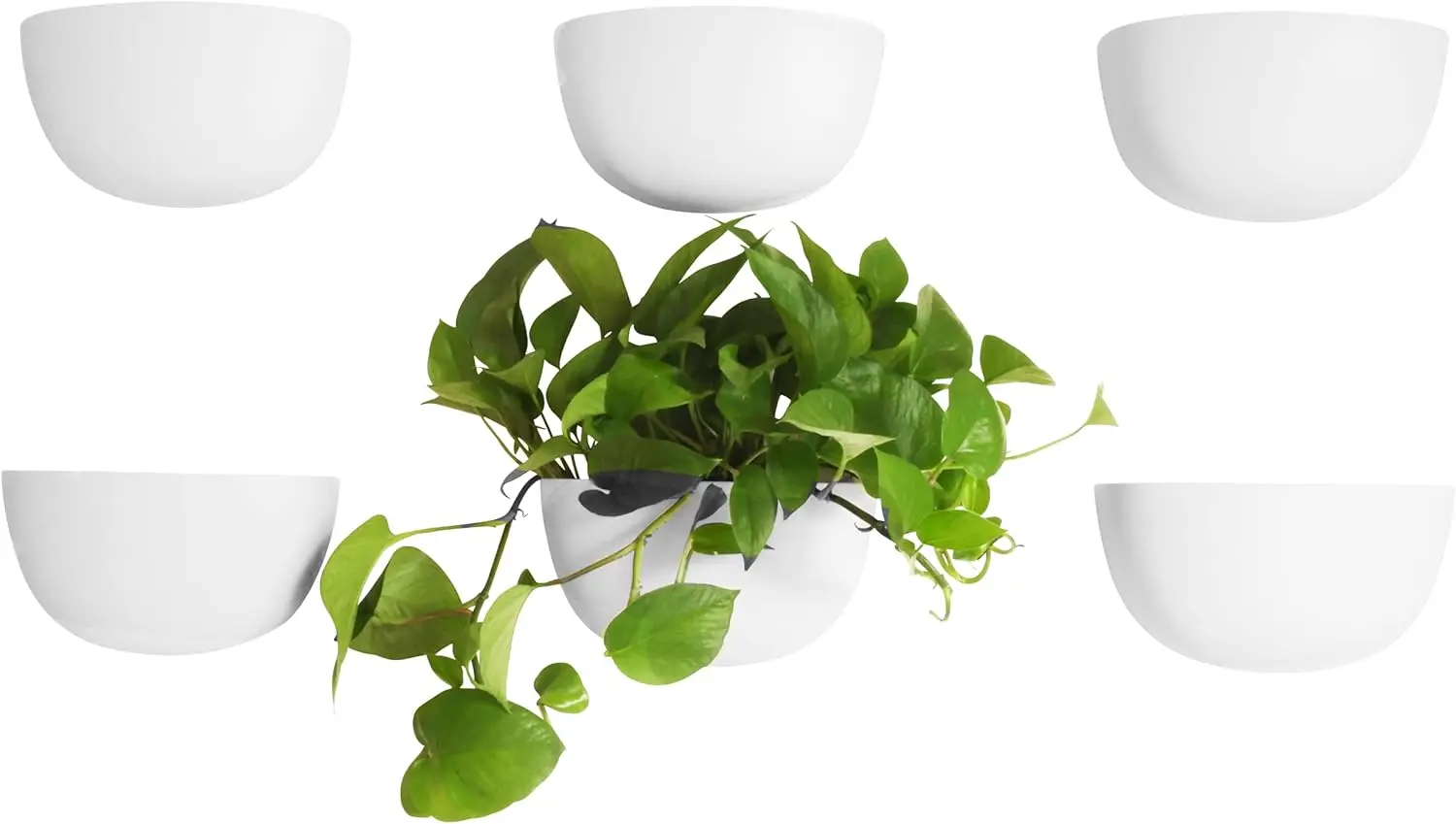 Virgo Wall Planters (Wide, Set of 6) - Easy to Water and Install - Lightweight - Design Your Own Vertical Garden - Melam