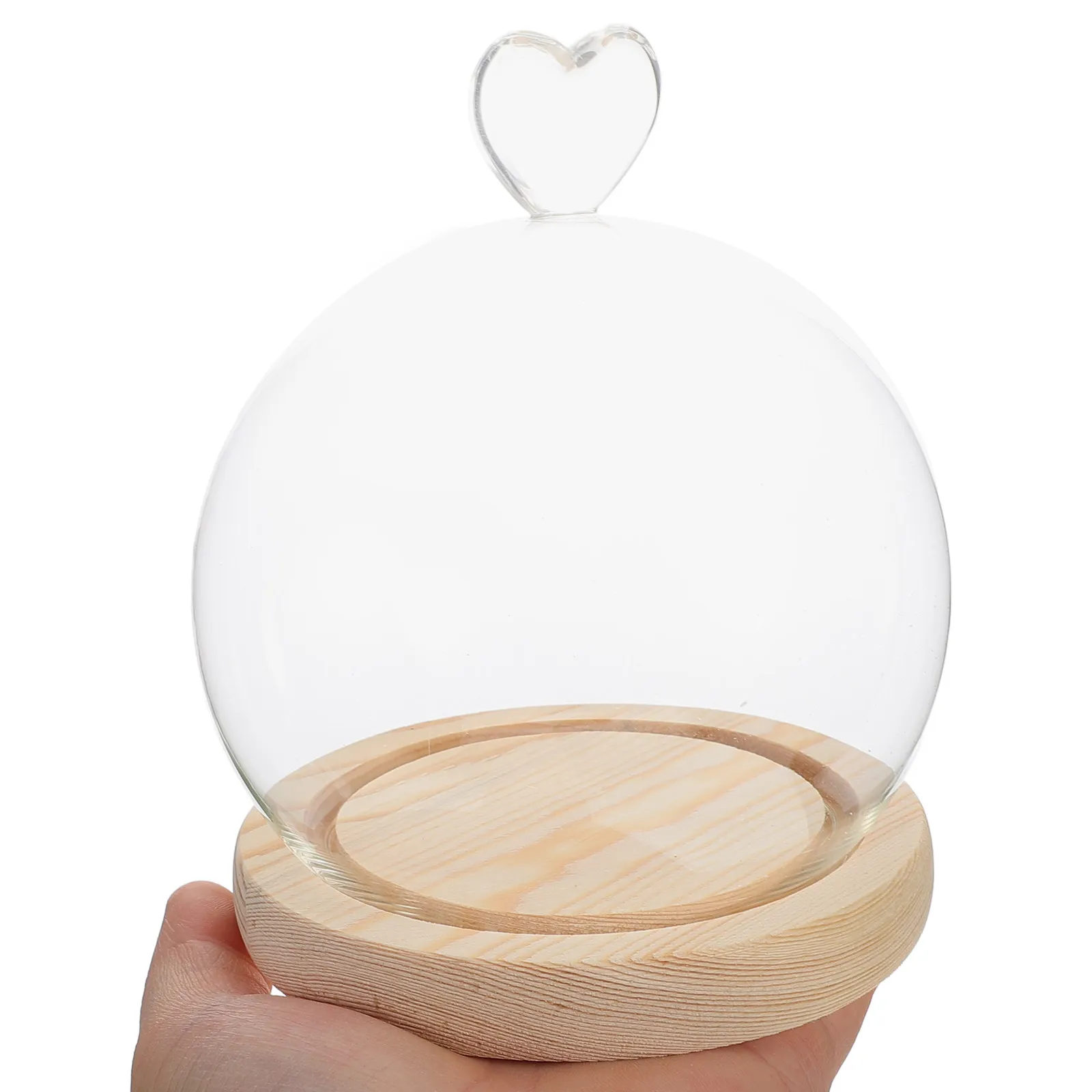 1Set Glass Dome Display Cover Heart Shape Clear Glass Cloche Base Elegant Decor Display Case DIY Arrangement Flower Dome