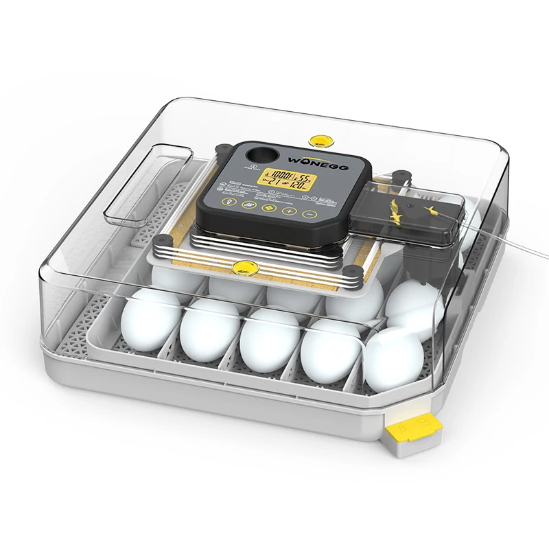 WONEGG nueva incubadora de huevos AC DC 48 placa de circuito incubadora automática de huevos para precio de huevos de gallina