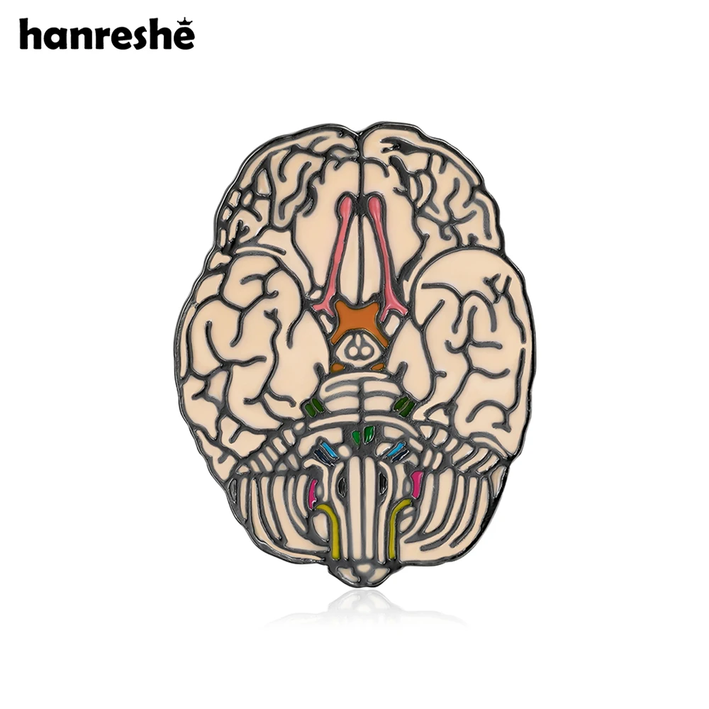 Hanreshe Medical Brain Enamel Brooch Anatomy Neurology Brain Pin Jewelry for Doctor Nurse Backpack Lapel Badge Accessories