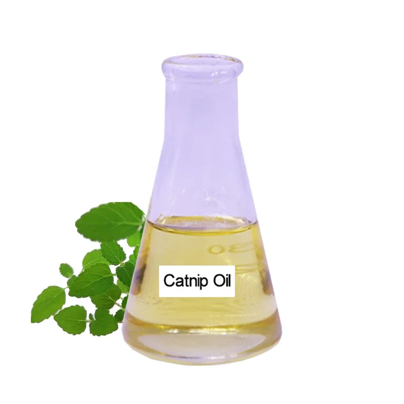 Wholesale Cat toy dried treats herb plant leaf Organic extract Catnip  oil