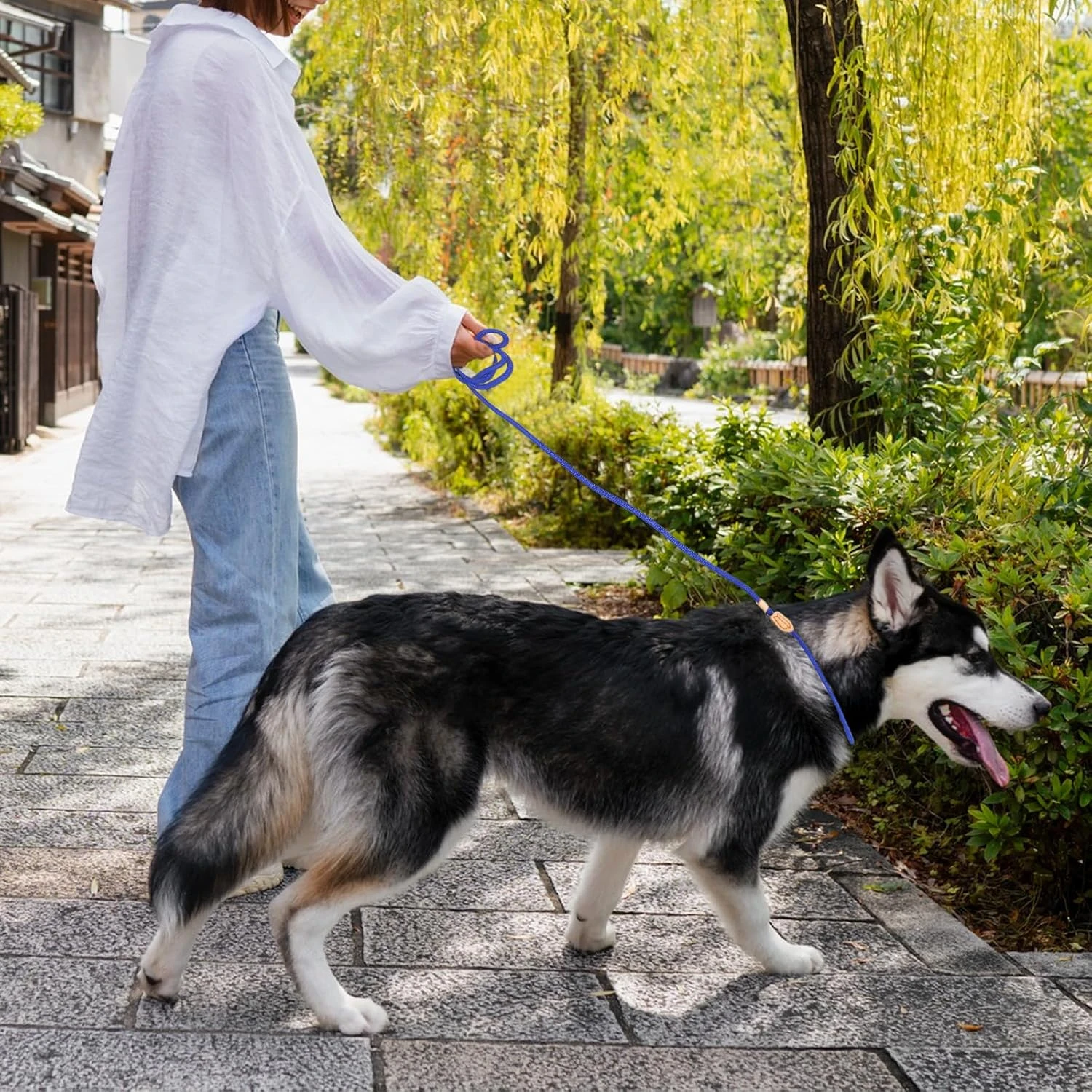 Durable Azul 5 pies Slip Leads - Correa de entrenamiento para mascotas sin tirones para perros, cuerda de control para perros pequeños, medianos y grandes - Ideal para cachorros T