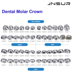 48 Position Dental Temporary Crowns 5-48pcs/box Stainless Steel Pedo Molar Crown Refill Kit For Kids 1st 2nd Preformed Dentistry