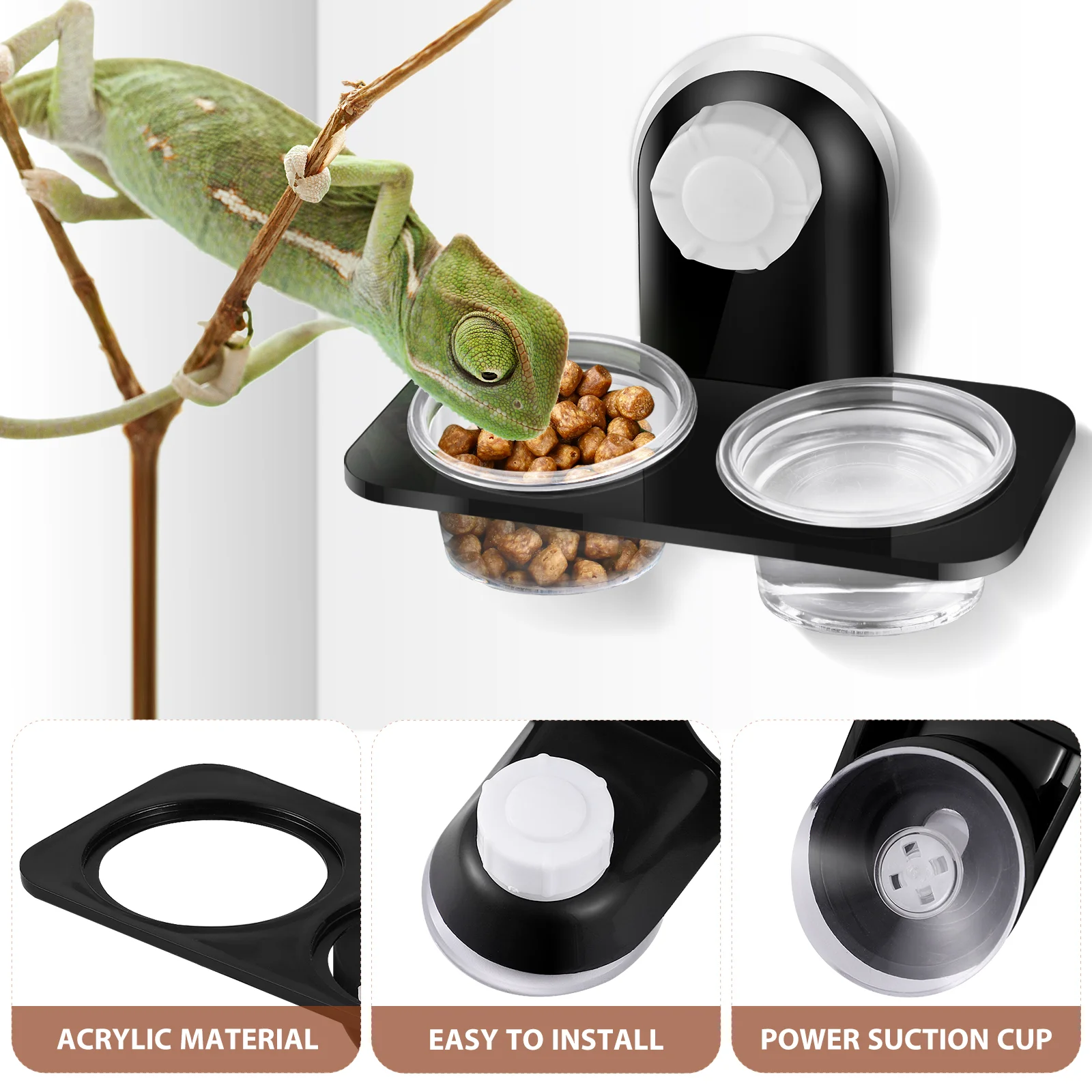 Magnetic Feeding Ledge Crested Gecko Water and Food Container Double Cup Tortoise Reptile Bowl