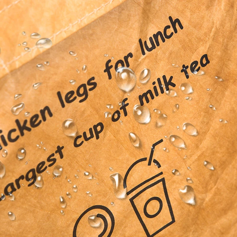 Insulated DuPont Paper Lunch Bag Foldable Reusable Leakproof Large Capacity Thermal Food Container for Work Outdoor Cooler