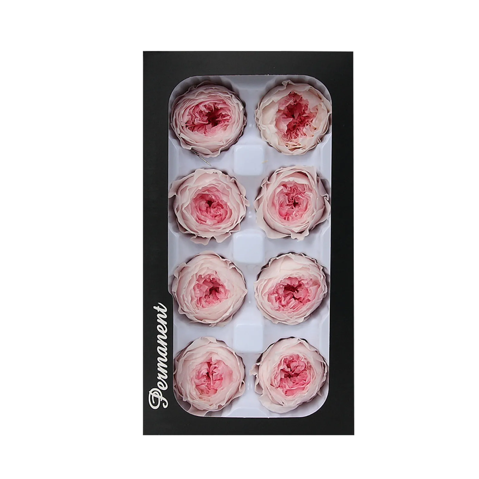 Ewige Lebensblume A Level 4 5 cm Schlüsselanhänger Auto hängende Geschenkbox Blumenmaterial Brautkopfbedeckung Trockene Herbstblumen