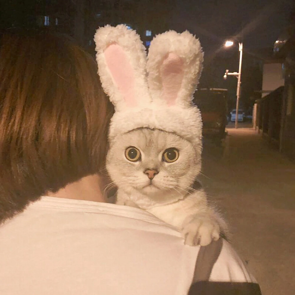 

2pcs Cat Hats Rabbit Ears Winter Warm Pet Caps Comfortable Elastic Eared Headwear Outdoor Gift Use For Dogs Kittens