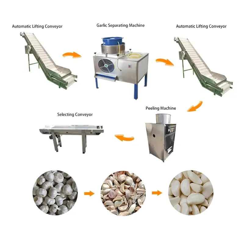 Industrial Stainless Steel 304 Garlic Peeling Packing Machine Full Line Bearing Automatic Food Industry Equipment HUAFUDE