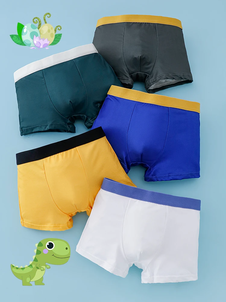 5PCS Boys' Teenage Knitted Dinosaur Print Boxer Shorts Comfortable Fabric Four Seasons Wearable Sporty Non-binding