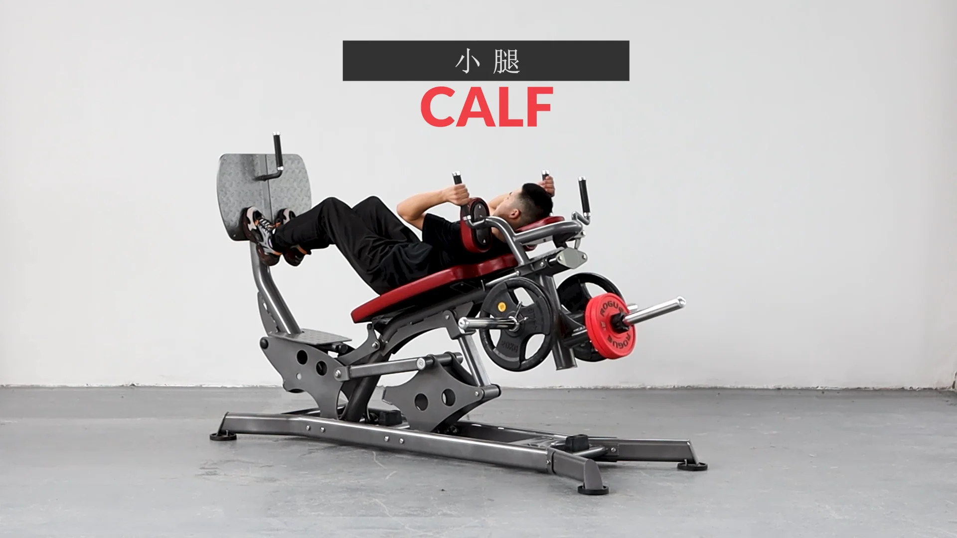 Alat Fitness Terlaris Mesin Le - Home Gym With Leg Press ulasan dan harga