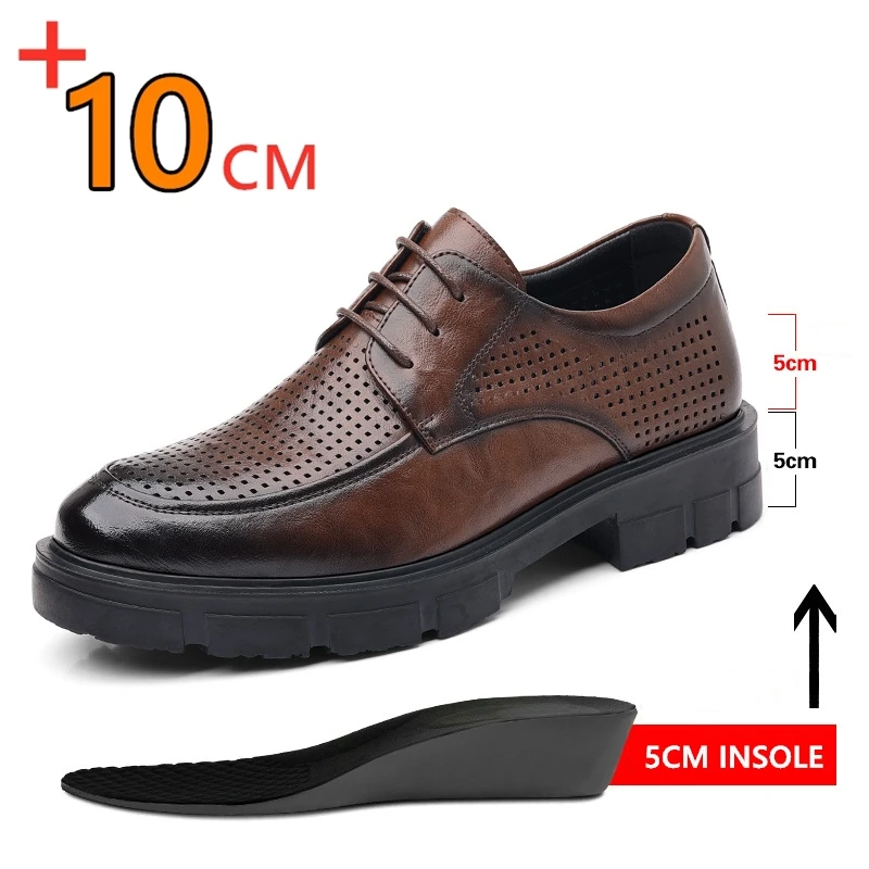 Brown Hollow 10cm