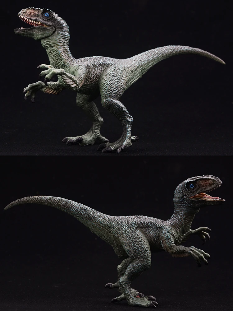 Jurassic-Dinosaurier-Figuren-Set – Dilophosaurus und Velociraptor Tiermodelle, Actionfiguren-Sammlungsspielzeug für Kinder – Detail 6