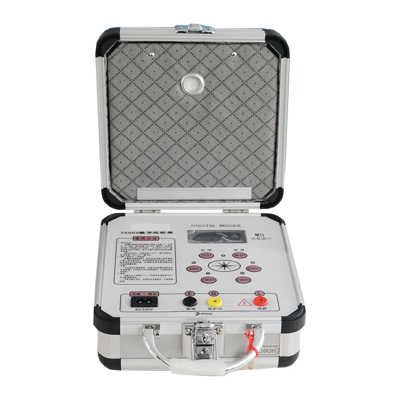 

DJY-621B Digital Megohm Meter Insulation Resistance Tester for Industrial Use Power Electronic Device 1-Year Warranty