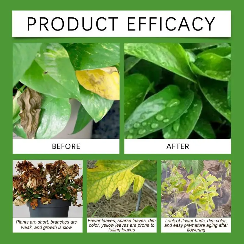 Succulent ดิน Potting ผสม Aerated ดินบอนไซแบบพกพาสวนอุปกรณ์ Orchid ปุ๋ยสําหรับ Houseplant Repotting บอนไซ