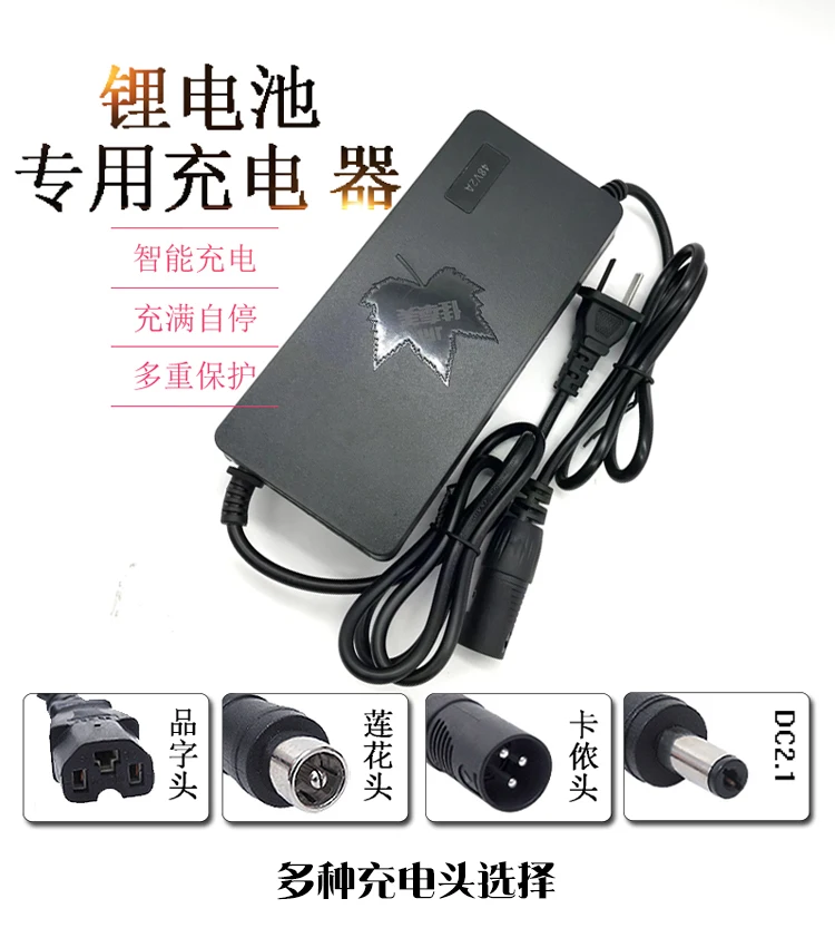 

48V Charger 2A 3A 110V 220V Electric Bike Scooter 24V 29.4V 42V 54.6V European Standard American Standard DC2.1 36V Charger