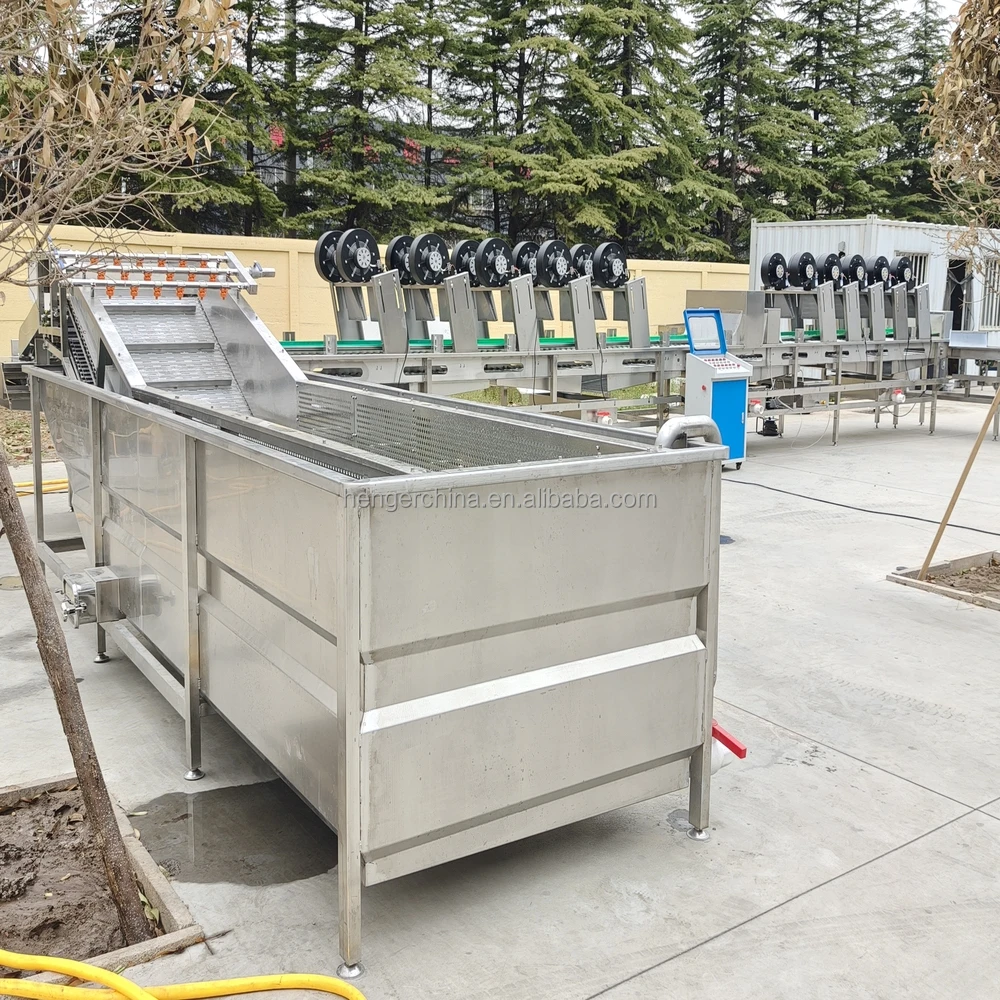 Pineapple Fruit Washing Machine Pineapple Sorting Processing Line Pineapple Cleaning Equipment