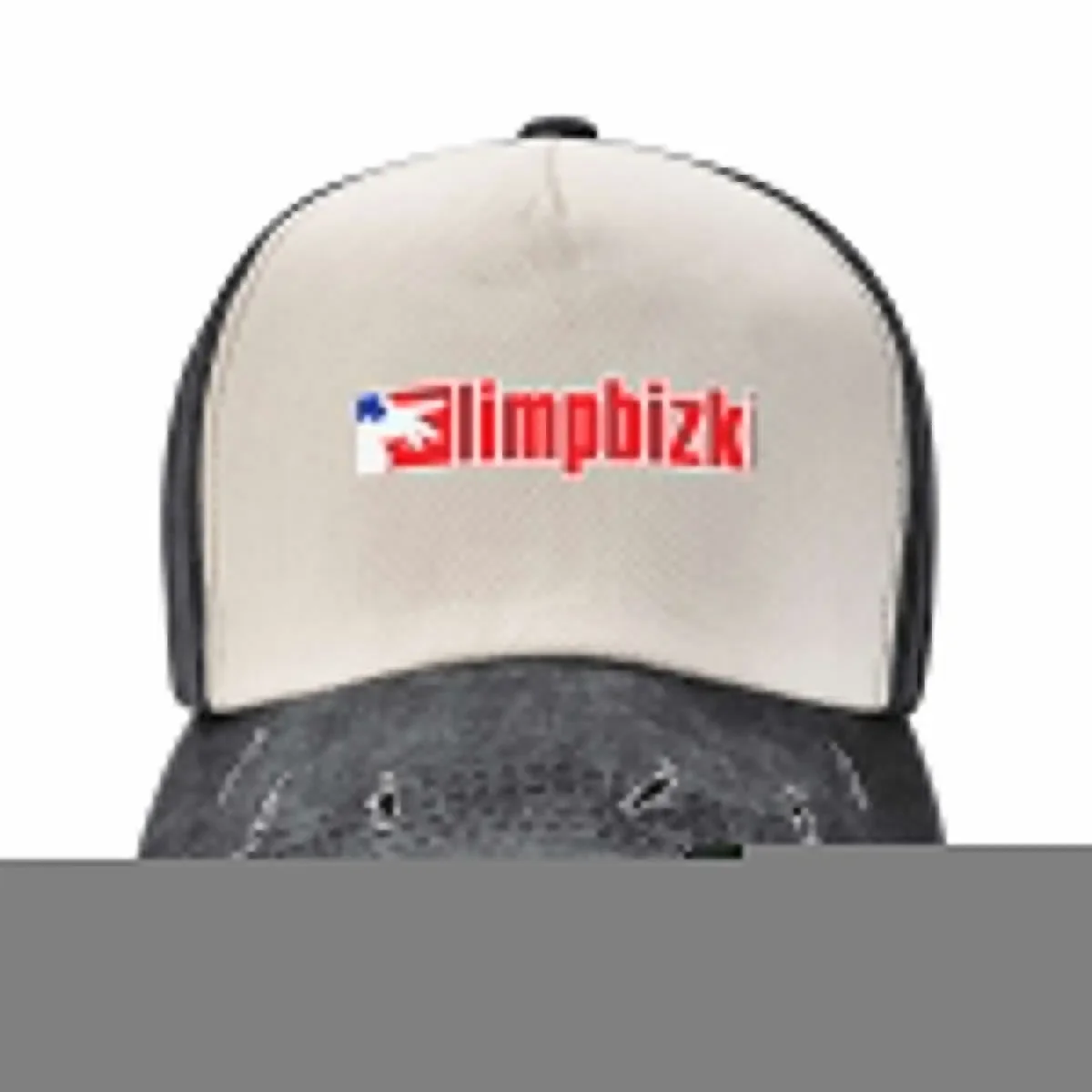 logo bizkit Baseball Cap Sun Hat For Children Luxury Hat Fishing cap Sun Hats For Women Men's