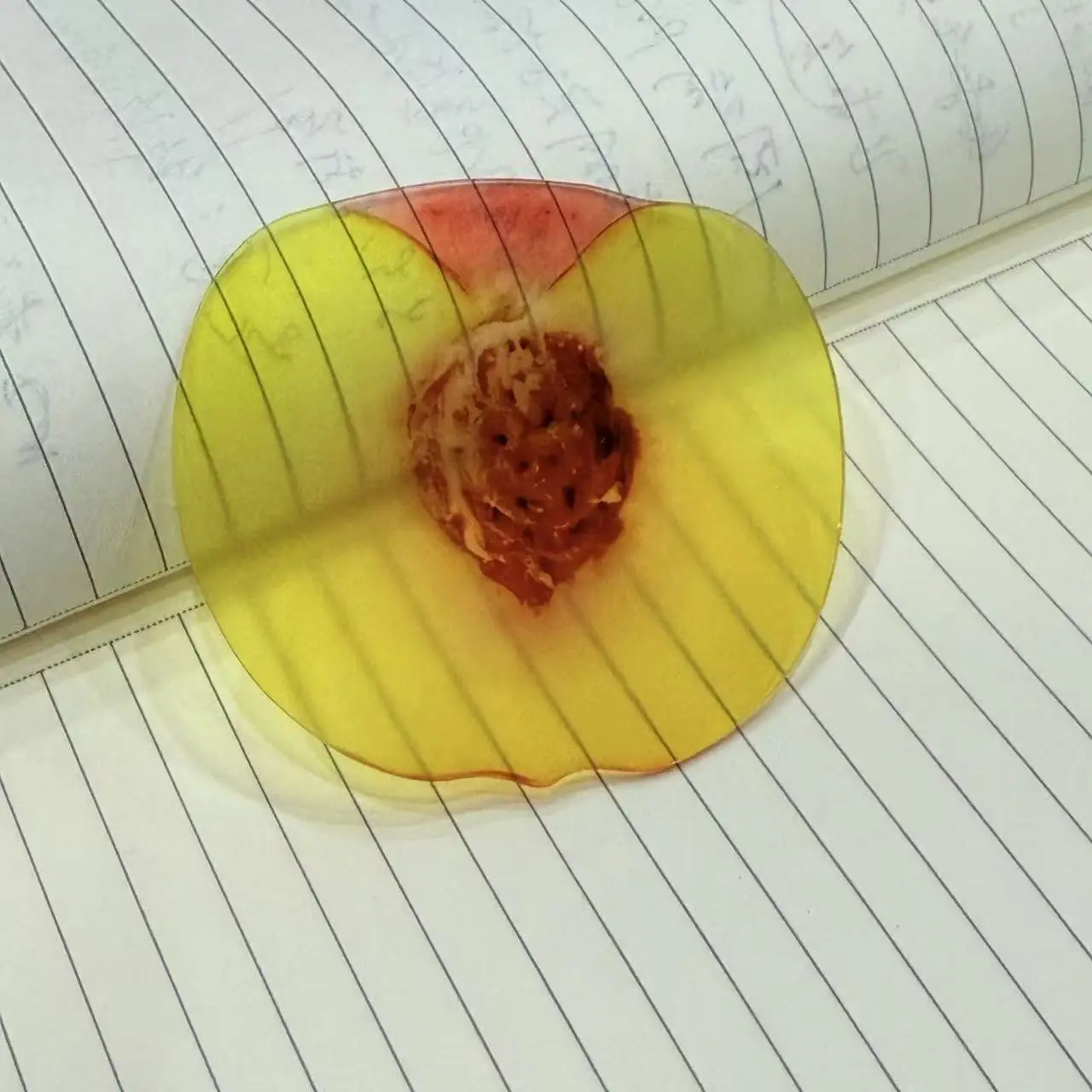 Delicate Transparent Acrylic Apple Bookmark Reading Mark Student Gift Premium Feeling Cute Grape Tomato Bookmarks