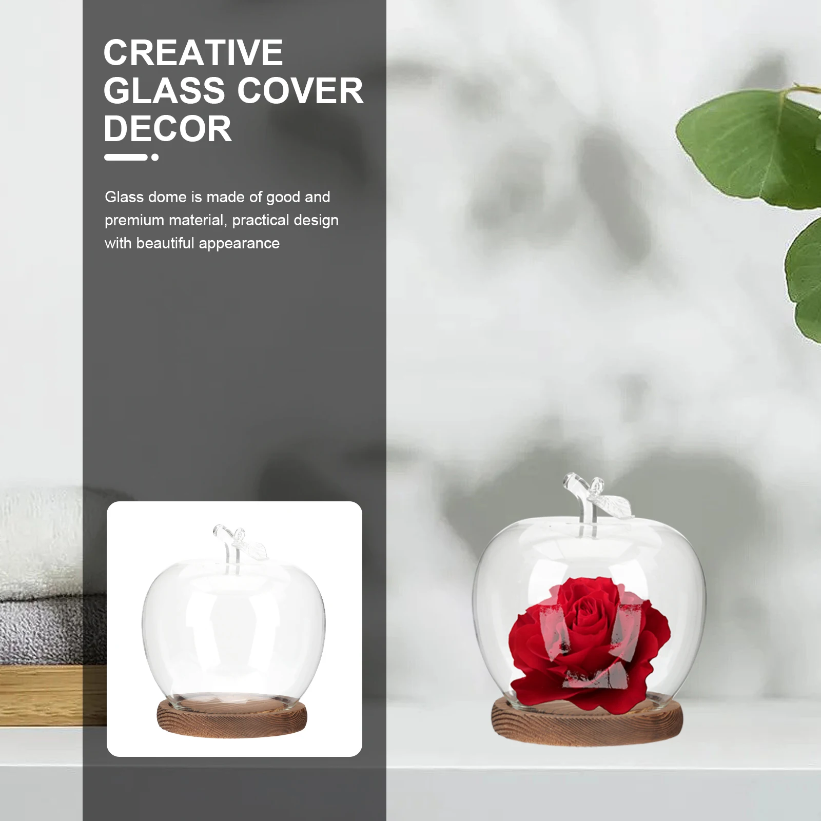 

Creative Glass Display Cover with Creative Glass Cover Decor Base Clear Apple Cloche Decor Crafts Wood Table Storage Lid