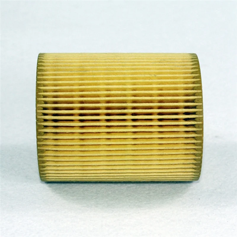 

2Set LR013148 Oil Filter For Land Rover LR3 LR4 Range Rover Sport Diesel 3.0 V6 TD6 Oil Filter