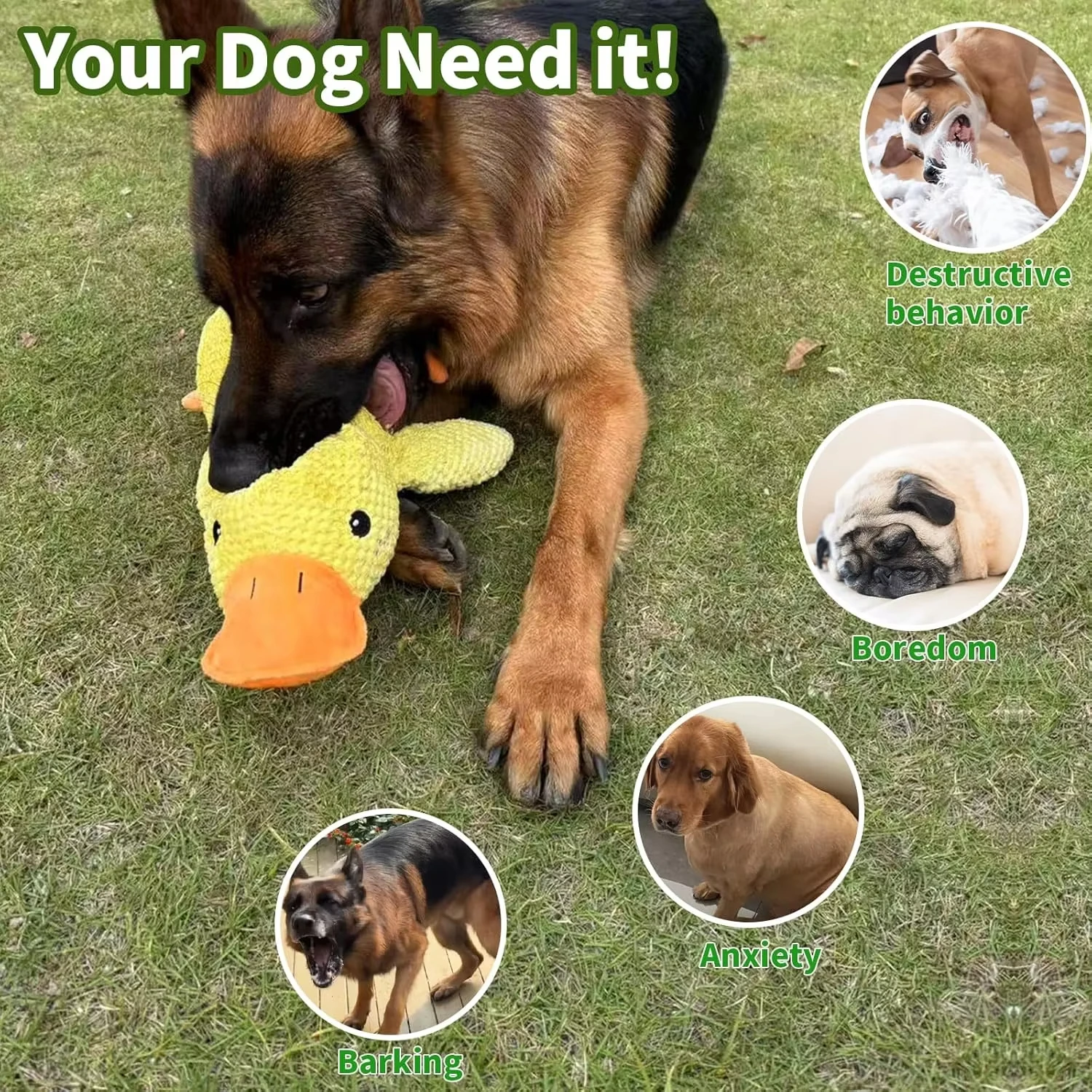 Duck Dog Toy Plush Chew Resist - Board Game Quacks review and price