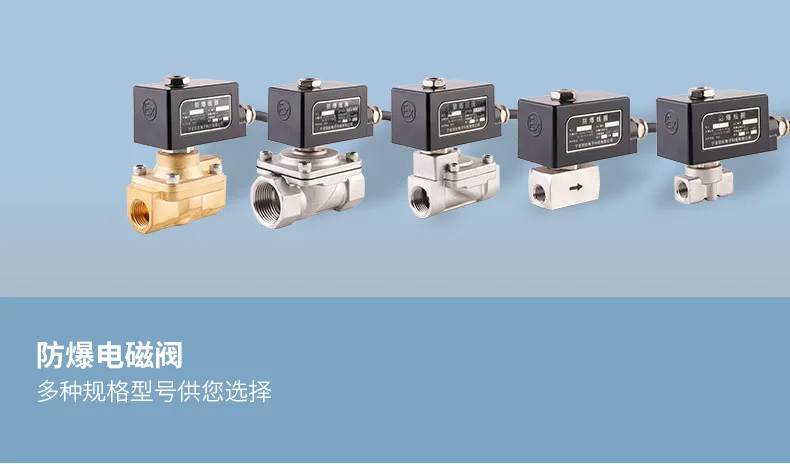 Detalle 1 de Electroválvula Explosion proof solenoid valve pi-lot piston type two position two-way YCP31 YCH41 series chem-ical industry Otras válvulas