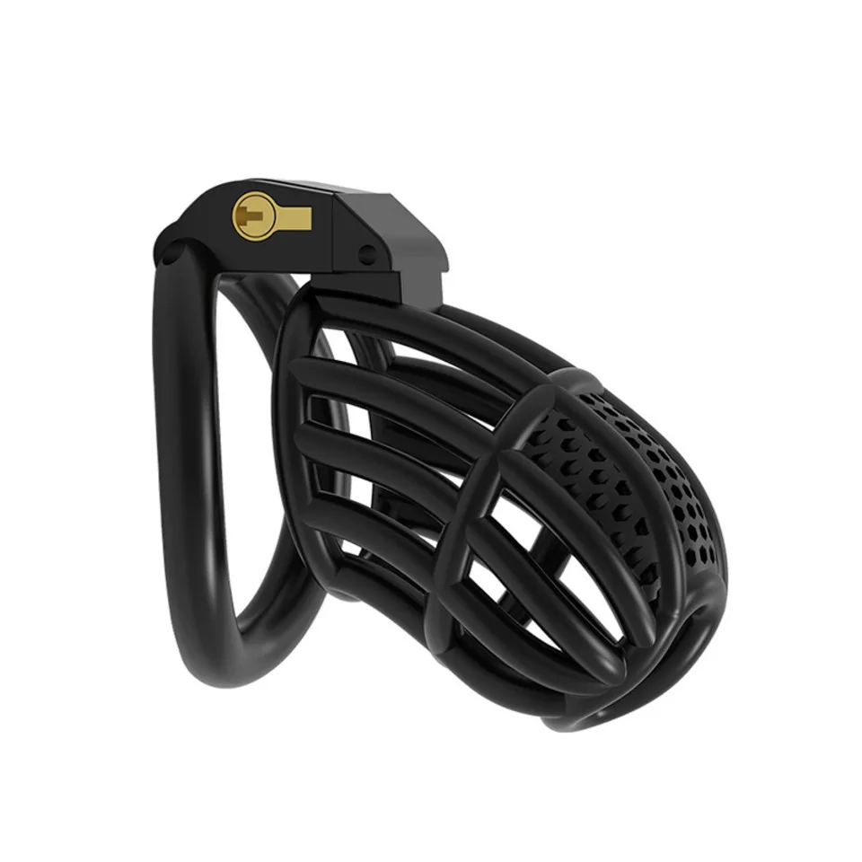ABS Chastity Cage Anti Penis Profile Movable Concealed Lock Hollow Out Design Comfort Wear For Male Chastity Device For Sissies