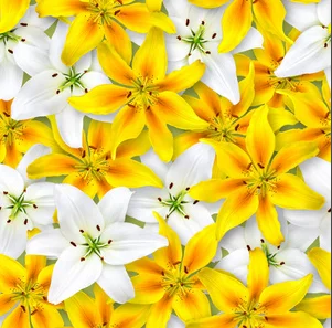 

Вращающийся электрический удлинитель для розеток с регулируемой длиной, удлинитель-разветвитель для прикроватной тумбочки