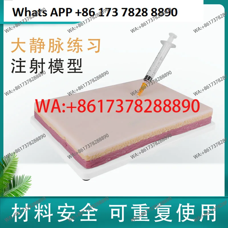 Intravenous  practice, surgical nurse simulation skin skin test practice, medical teaching model