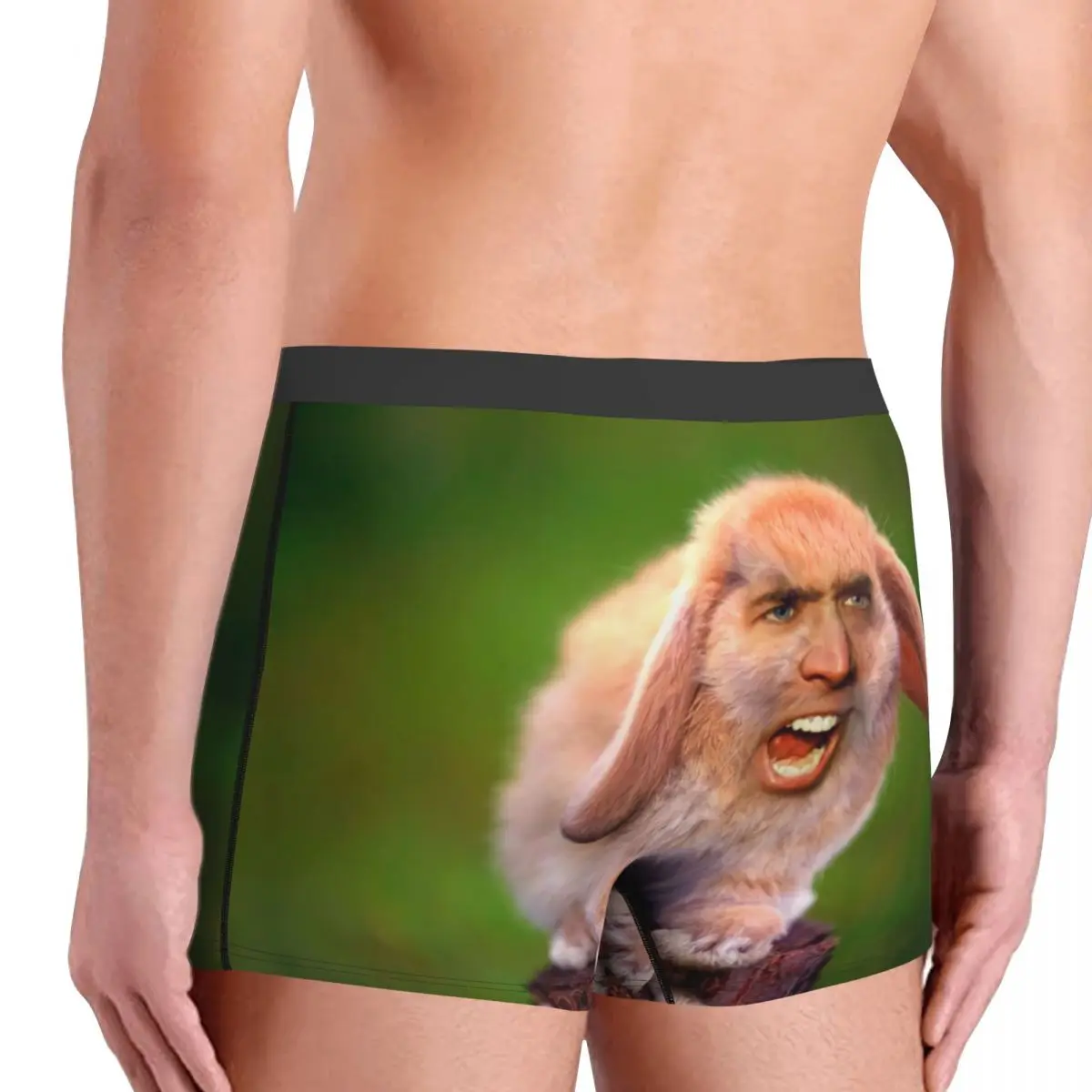 Custom Cool Funny Nicolas Cage Rabbit Meme Boxers Shorts Panties Male Underpants Stretch Briefs Underwear