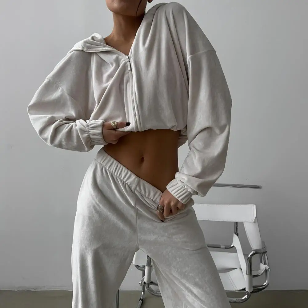 Women's 2 Piece Velour Tracksuit Set Full Zip-up Hooded Sweatshirts And Wide Leg Pants Set Soft Velvet Zipper High Waist Outfits