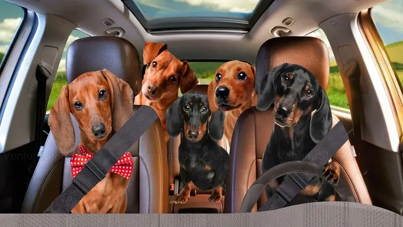 Dachshund Car Sunshade, Dachshund Car Decoration, Dachshund Lover, Auto Sun Shade, Dog Car Sunshade, Gift For Her, Gift For Dad