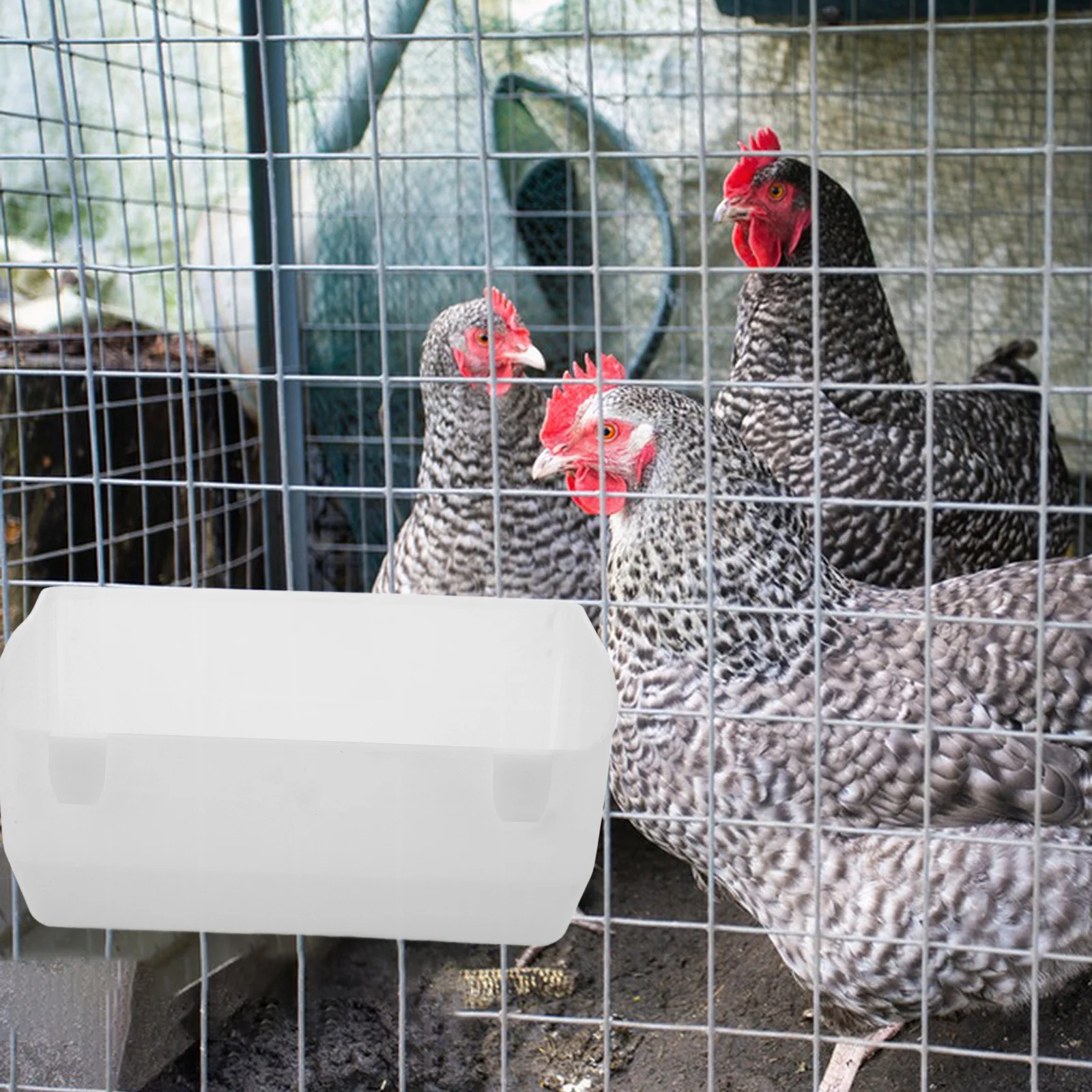 

2Pcs Poultry Feeder Hanging Chicken Feeder and Waterer Set Wear-Resistant Lightweight Feed Container for Chick Dove Duck