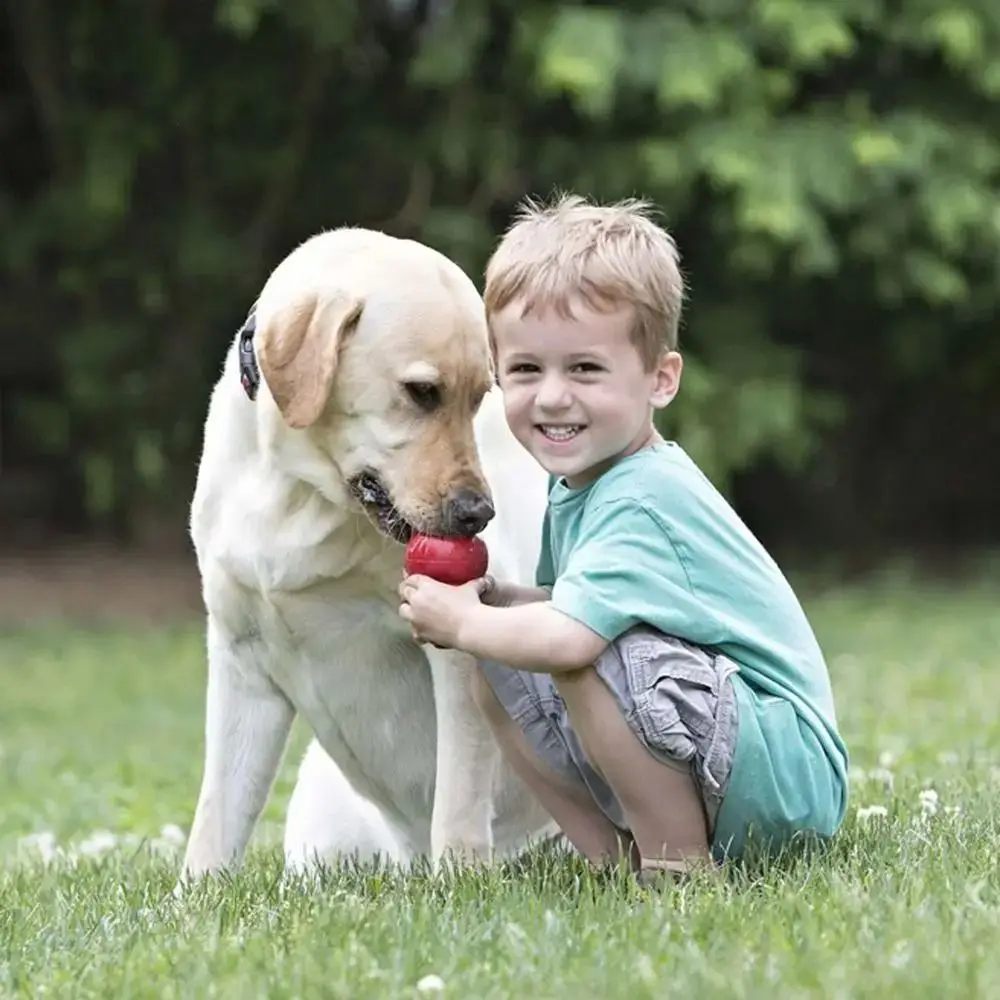 2024 Classic Kong Dog Stuffable Treat-Filling Capabilities Kong Puppy Durable Rubber Fetch