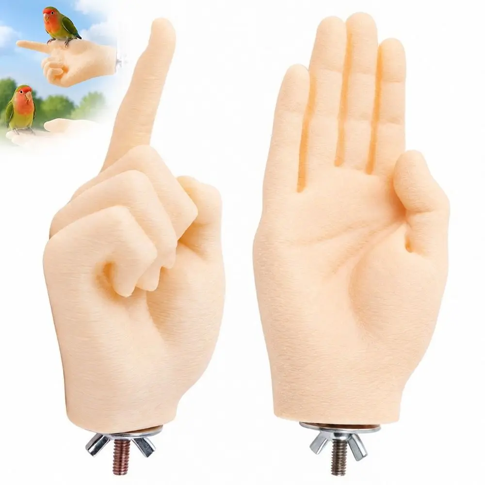 Washable Hand-Shaped Parrot Perch with Secure Screw Mount Adult Hand Proportions Desensitization and Step-Up Training Stand