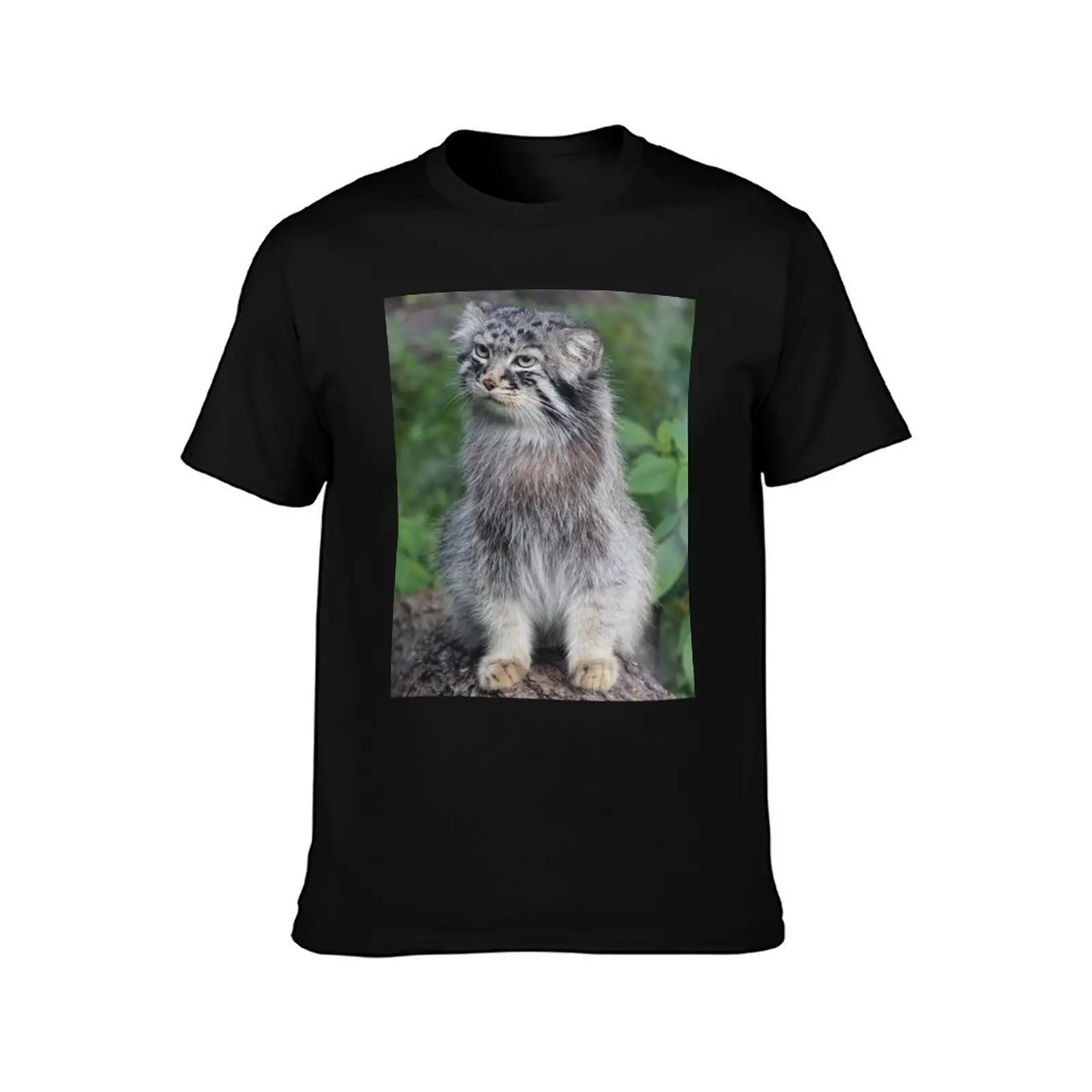 Wild Cat T-Shirt Simple Trendy Casual T-Shirt