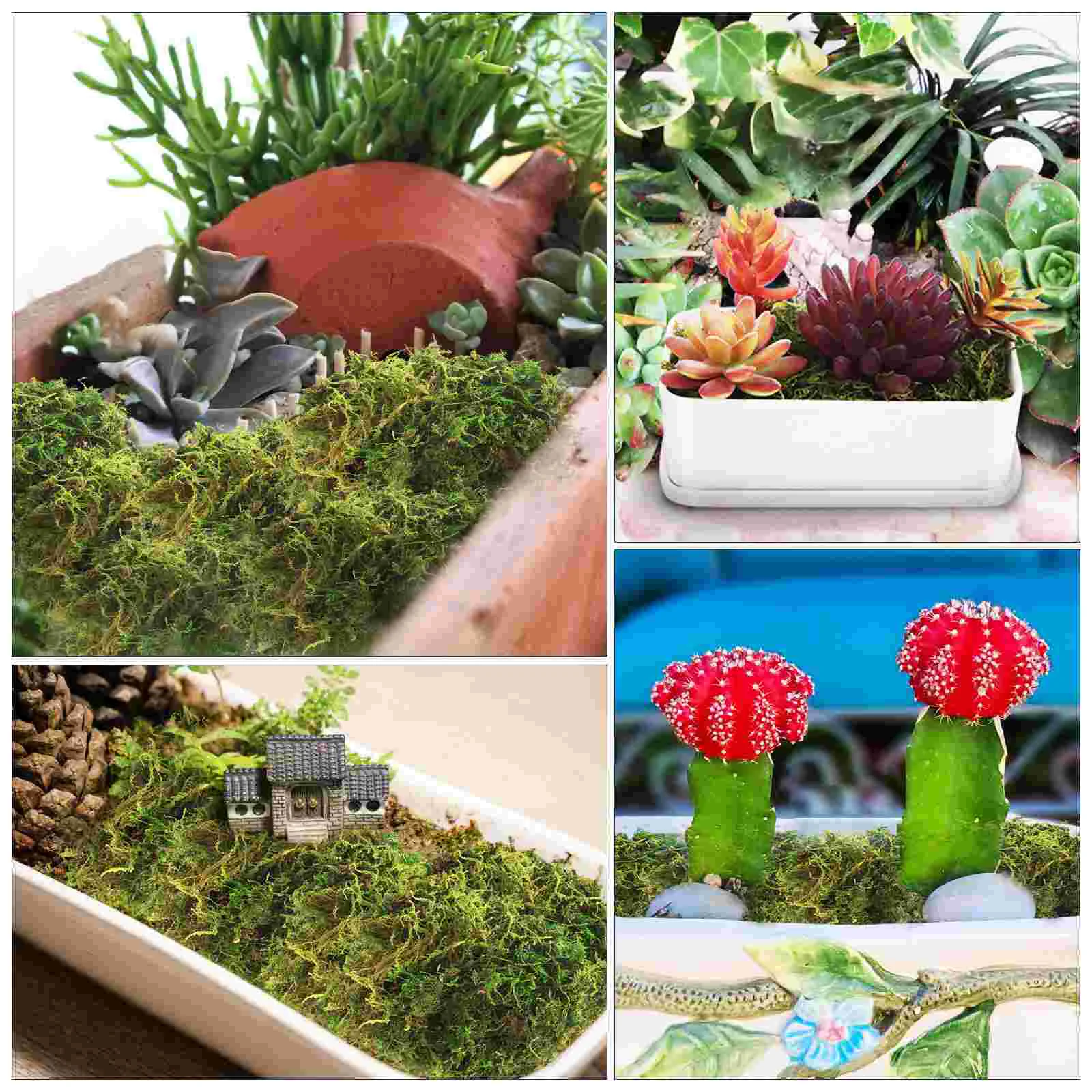 Glass Green Stained Moss Faux Plants Indoor Preserved Flower Artificial For Landscaping