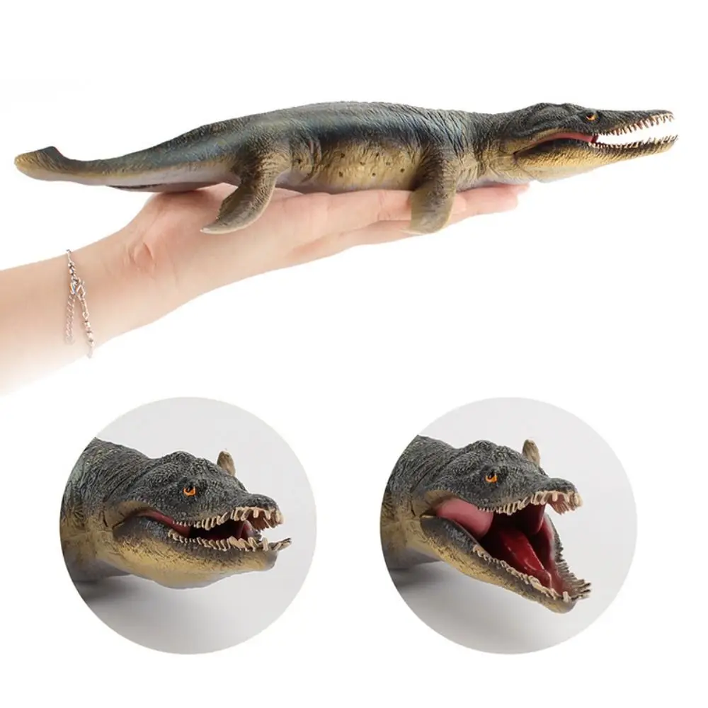 Plesiosaur Prähistorisches biologisches Modell Thalassomedon Kronosaurus Jurassic Ancient Animal Actionfiguren Tiere Modell