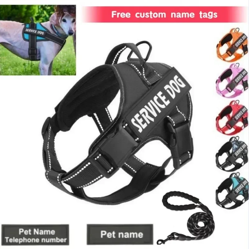 Emotional Breathable No-pull Personalized Vest Adjustable Leash Dog Harness And Support Reflective Pet Set