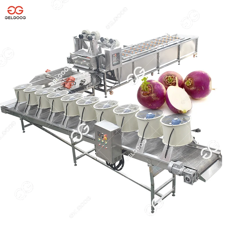 Automatic 2.5M-8M Carrot Potato Washing Pineapple Washer Ozone Fruit And Vegetable Cleaning Machine