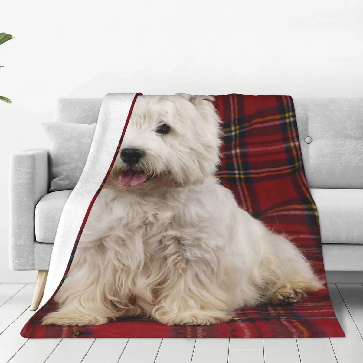 West Highland White Terrier On A Scotch Plaid Blanket Fleece Breathable Sofa Throw Blankets For Home Travel Throws Bedspread