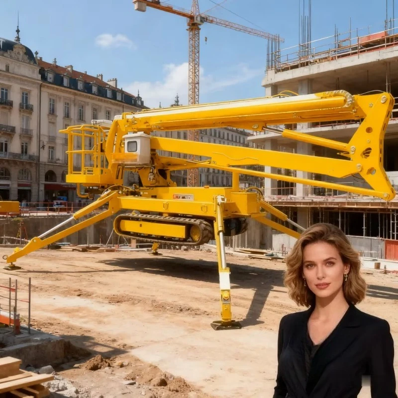 High Load Capacity Spider Crane Powerful Crawler Lift for Manufacturing and Assembly Line Customized Production Facility Price